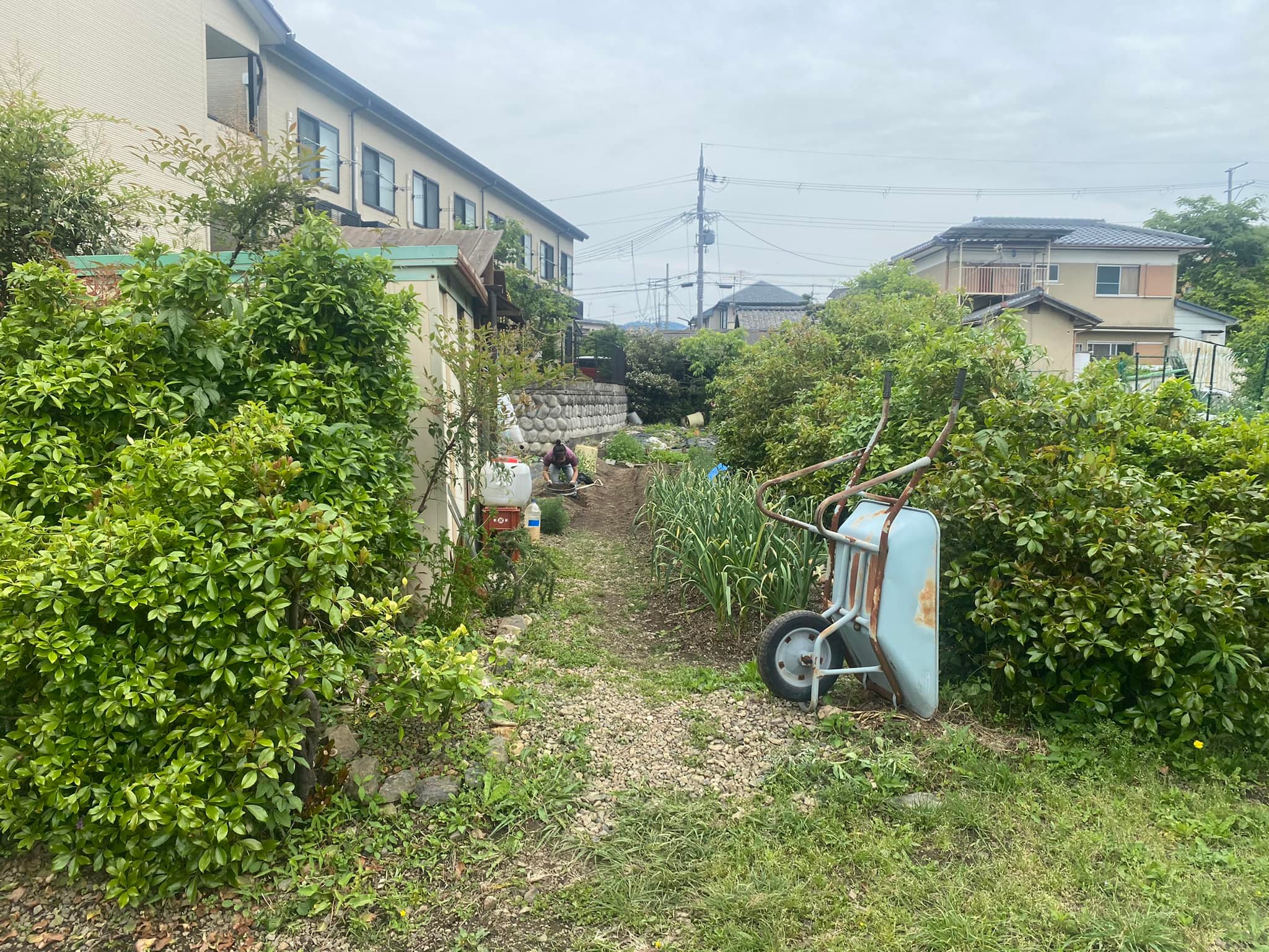 第一畑への道1